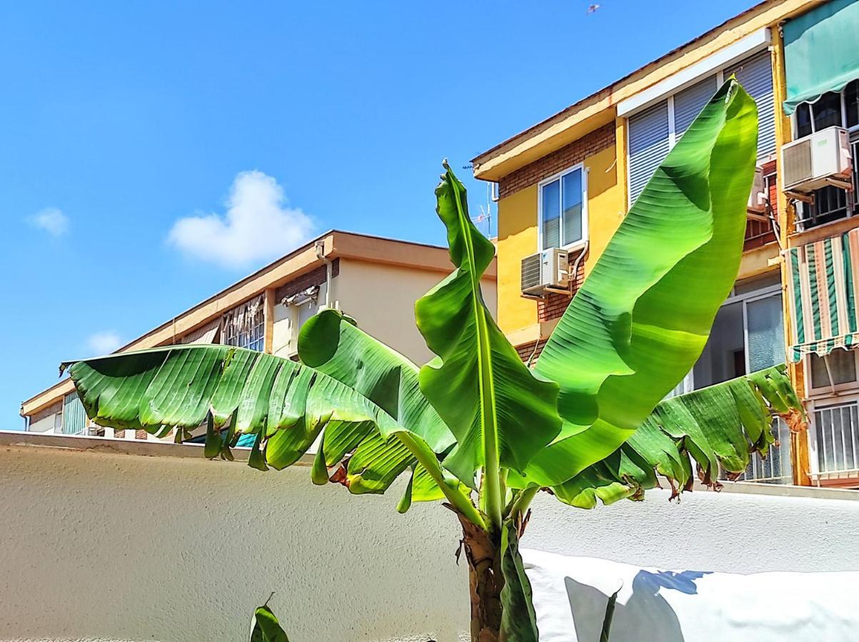 Manuela Nogales Apartments! Μάλαγα Εξωτερικό φωτογραφία