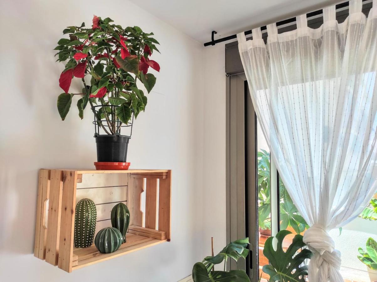 Manuela Nogales Apartments! Μάλαγα Εξωτερικό φωτογραφία